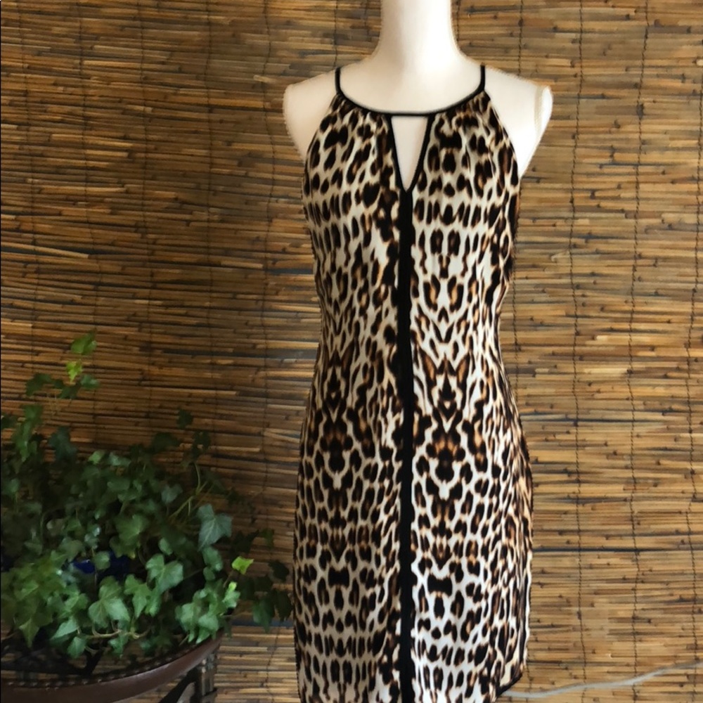 Leopard dress